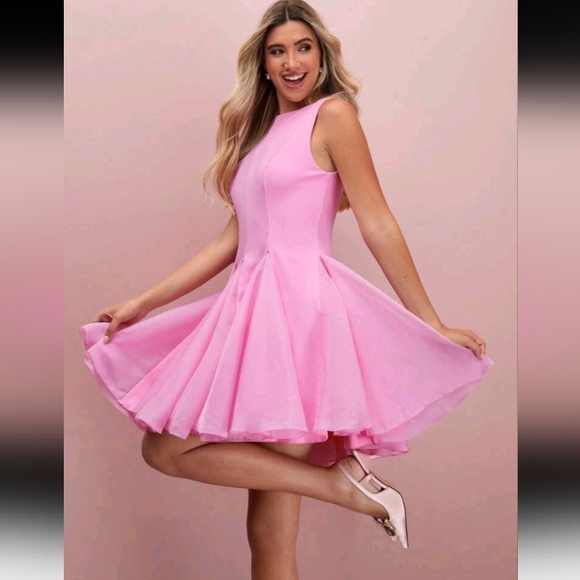 Fall/Winter Romantic Women's Pink Sleeveless Ruffle Hem Cute Princess Mini Dress - Picture 1 of 5